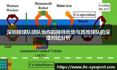 深圳排球队团队协作的独特优势与其他球队的深度对比分析
